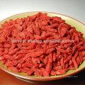 2016new crop goji berry wolfberry import goji ningxia